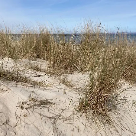 Byntze In Der Granitz * Binz