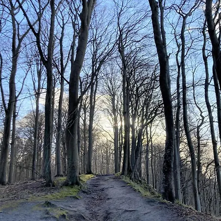 Apartment Byntze In Der Granitz *