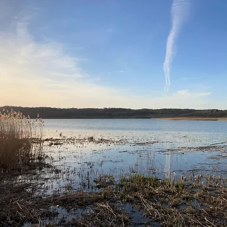 Byntze In Der Granitz *